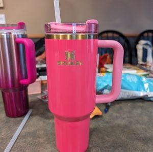 40 oz Pink Parade Stanley